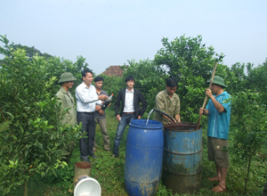 Anh Nguyễn Xuân Phúc (áo trắng) hướng dẫn nông dân quy trình chăm sóc cam.